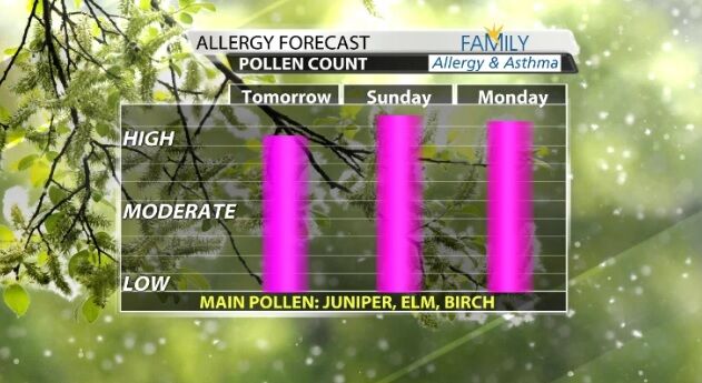 pollen count.jpg